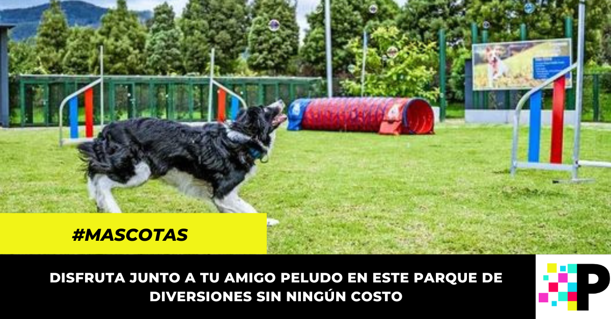 El parque para perros en Bogotá que tiene atracciones y la entrada es gratis