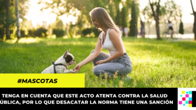 ¿Cuánto vale la multa por no recoger los excrementos de su perro de la calle?