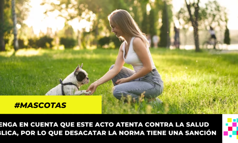 ¿Cuánto vale la multa por no recoger los excrementos de su perro de la calle?