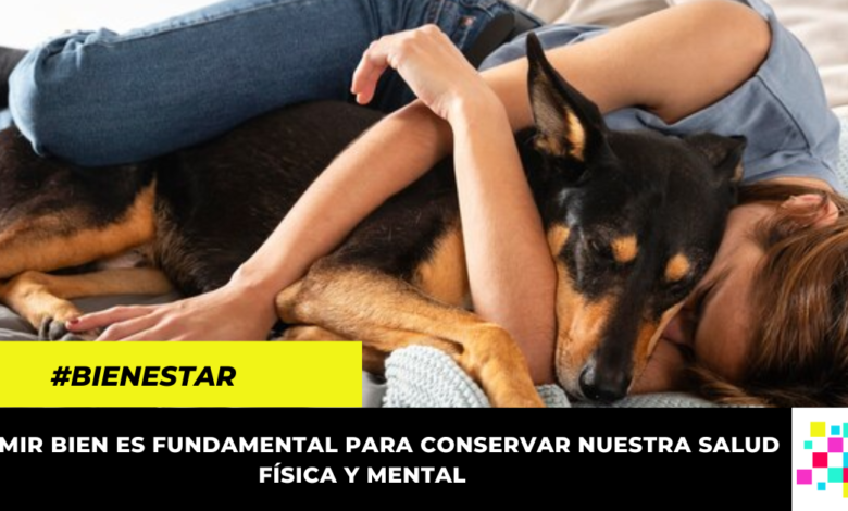 Las mujeres duermen mejor con su perro que con su pareja, revela estudio