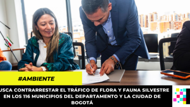 Se creó el comité para el control del tráfico ilegal de flora y fauna silvestre en Bogotá y Cundinamarca