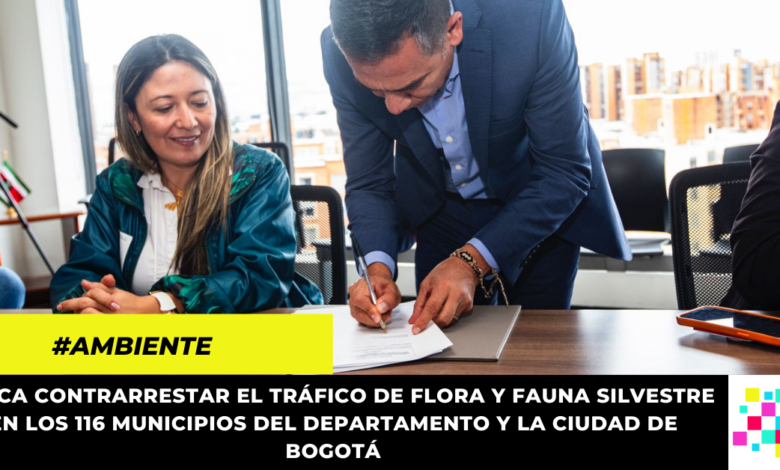 Se creó el comité para el control del tráfico ilegal de flora y fauna silvestre en Bogotá y Cundinamarca