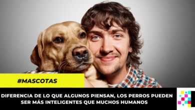 Un estudio revela que los perros tienen la capacidad de detectar cuando las personas mienten