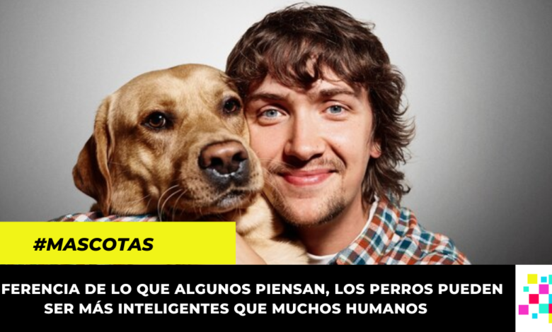 Un estudio revela que los perros tienen la capacidad de detectar cuando las personas mienten