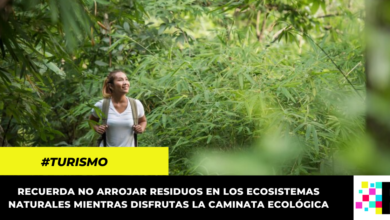 Inscríbete en línea y asiste a las caminatas ecológicas este mes en Bogotá