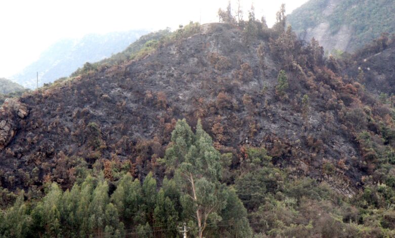 Gobernación de Cundinamarca está respondiendo a las emergencias provocadas por los incendios forestales