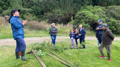 Visitantes y funcionarios de Parques Naturales deberán medir y compensar su huella de carbono