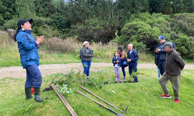 Visitantes y funcionarios de Parques Naturales deberán medir y compensar su huella de carbono