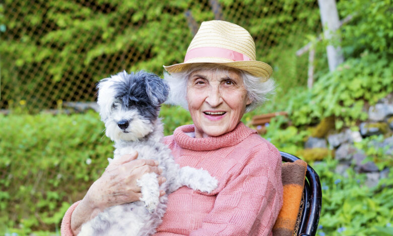 Abuela decide heredar toda su fortuna a sus mascotas