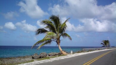 Conoce el valor de la tarjeta de turismo para ingresar a San Andrés en este 2024