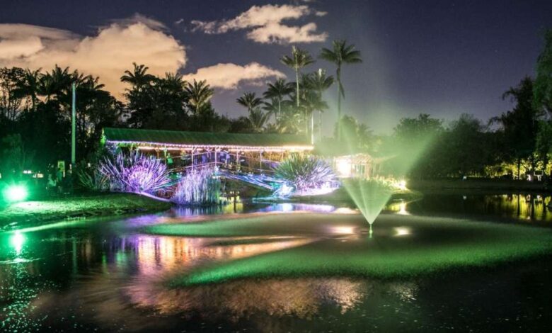 Descubre el fascinante mundo natural con las actividades del Jardín Botánico